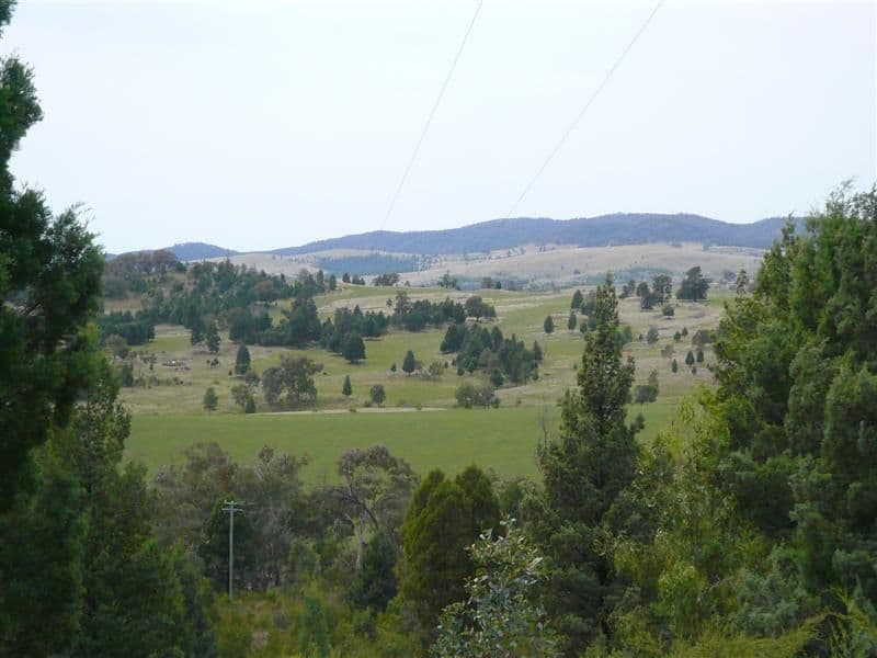 385R Obley Road, DUBBO NSW 2830, Dubbo - Thumbnail 8