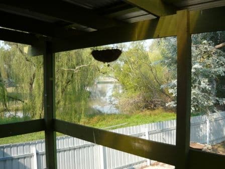 511 Solander Street, NORTH ALBURY NSW 2640, North Albury - Thumbnail 7