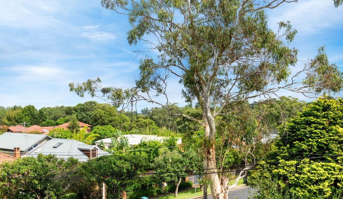 11 First Avenue, Lane Cove - Thumbnail 2