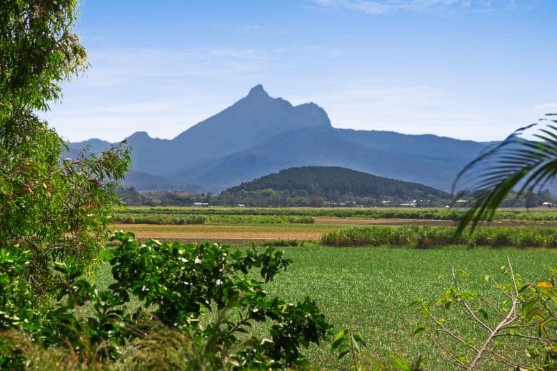 200 Clothiers Creek Road, MURWILLUMBAH NSW 2484, Murwillumbah - Thumbnail 3
