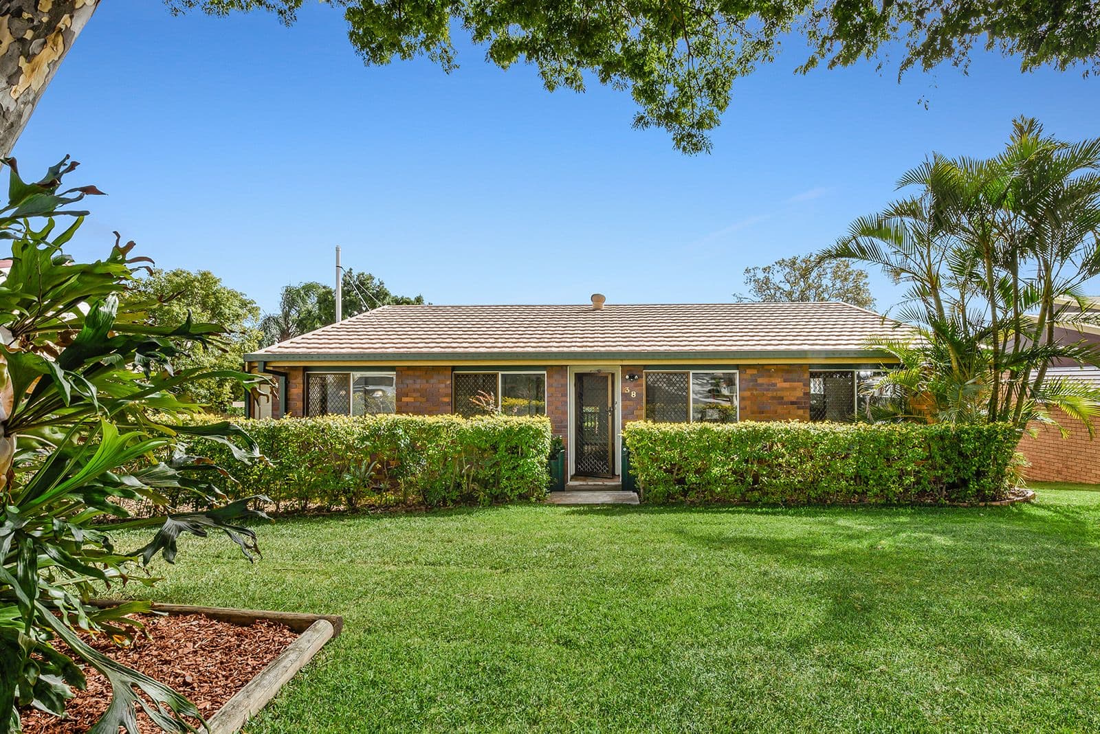 38 Tingiringi Street, Algester QLD 4115, Algester - Thumbnail 2