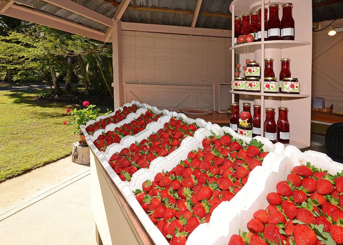 40 Doolong Road South, WONDUNNA QLD 4655, Wondunna - Thumbnail 2