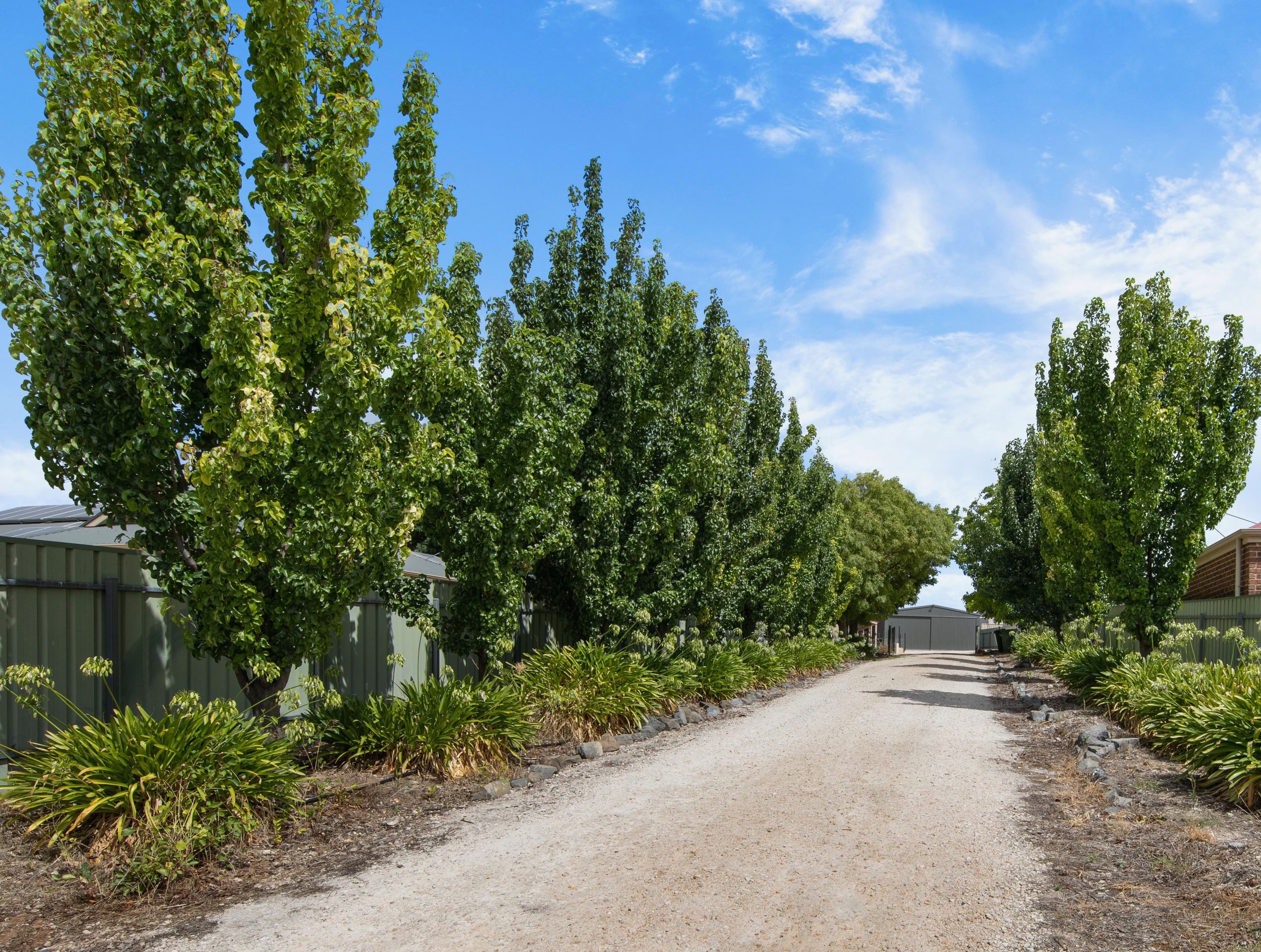 45 Henry Street, Auburn SA 5451, Auburn - Thumbnail 3
