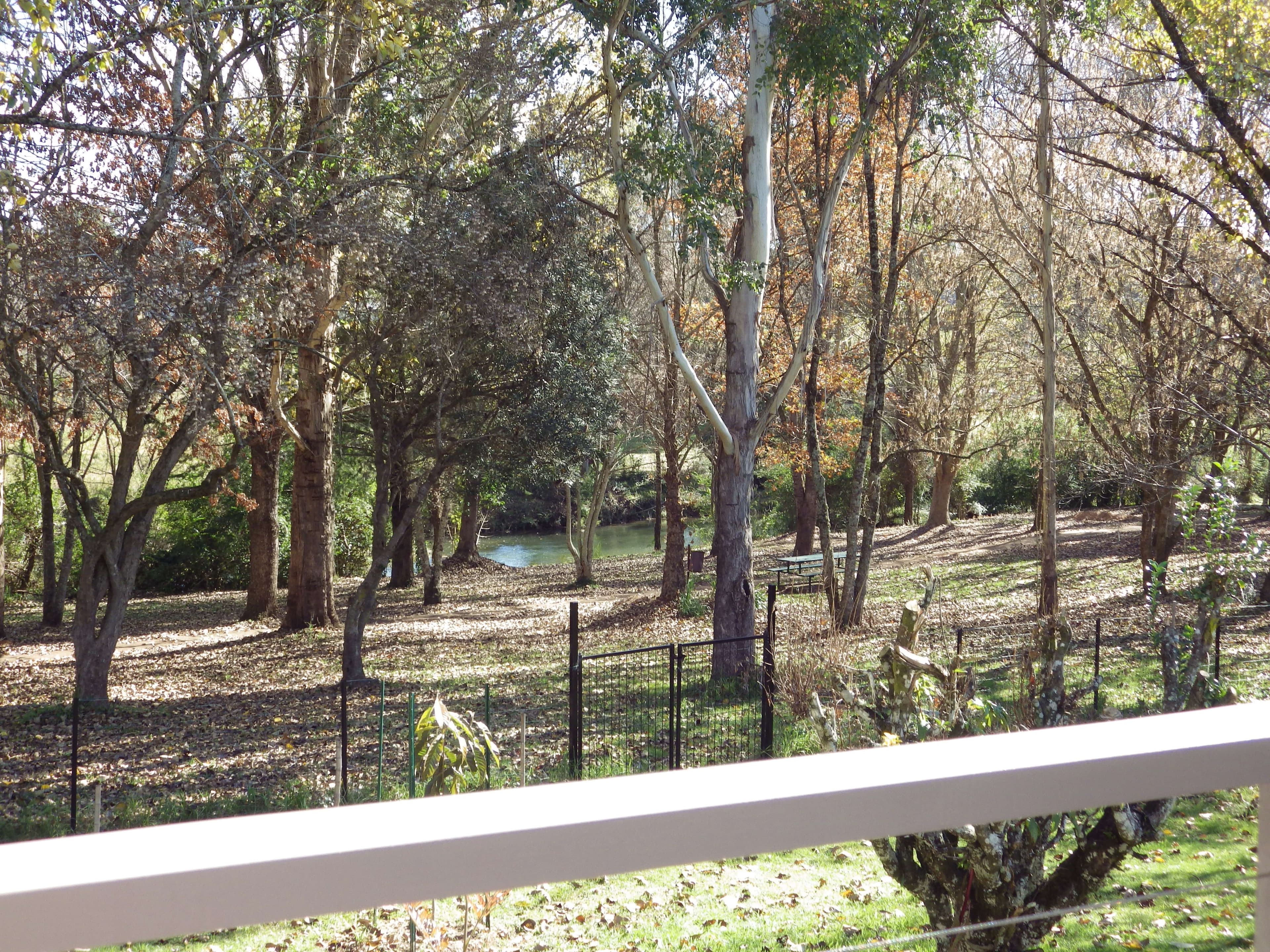 Dorrigo NSW 2453, Dorrigo - Thumbnail 2