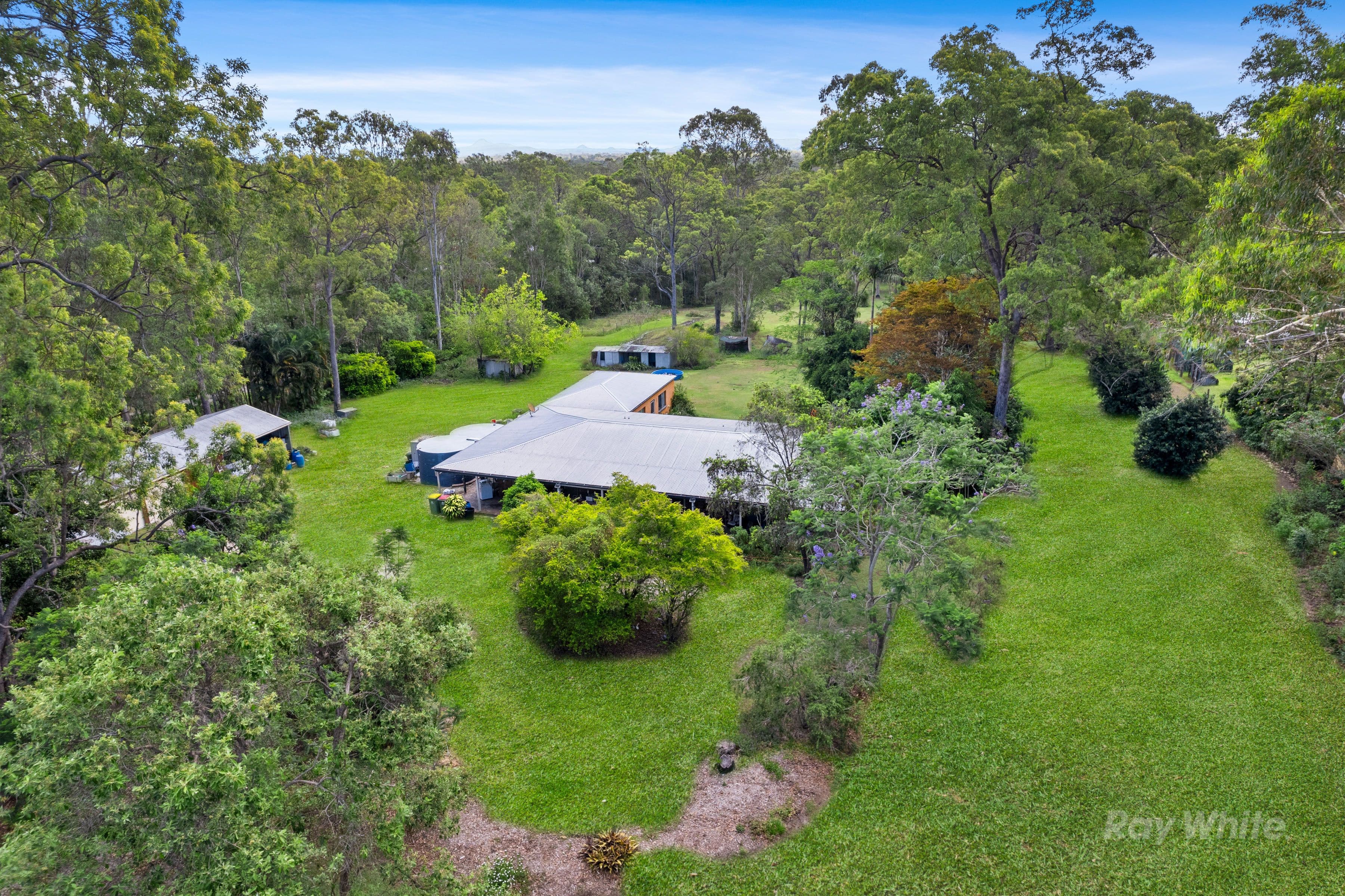 55-59 Flesser Road, Chambers Flat QLD 4133, Chambers Flat - Thumbnail 6