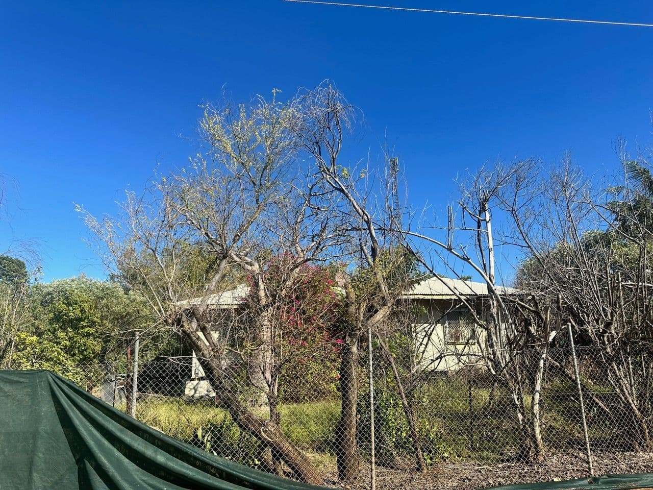 18 Coleman Street, Camballin WA 6728, Camballin - Thumbnail 6