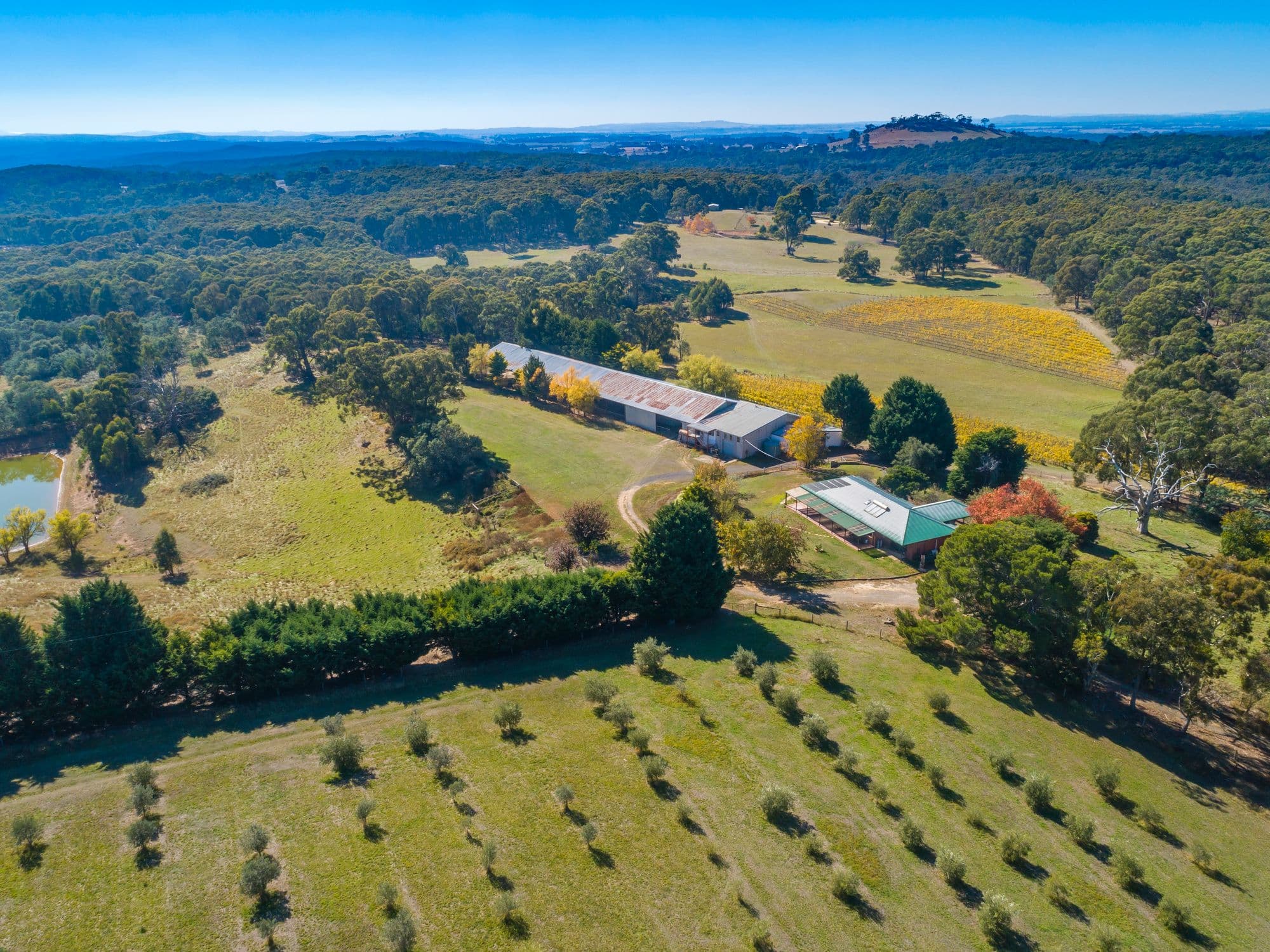 1289 Daylesford Malmsbury Road, Denver VIC 3461, Denver - Thumbnail 5