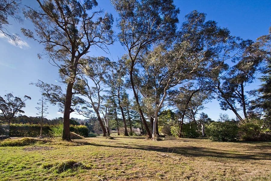 Lot 3, 26 Brightlands Avenue, Blackheath NSW 2785, Mount Pleasant - Thumbnail 4