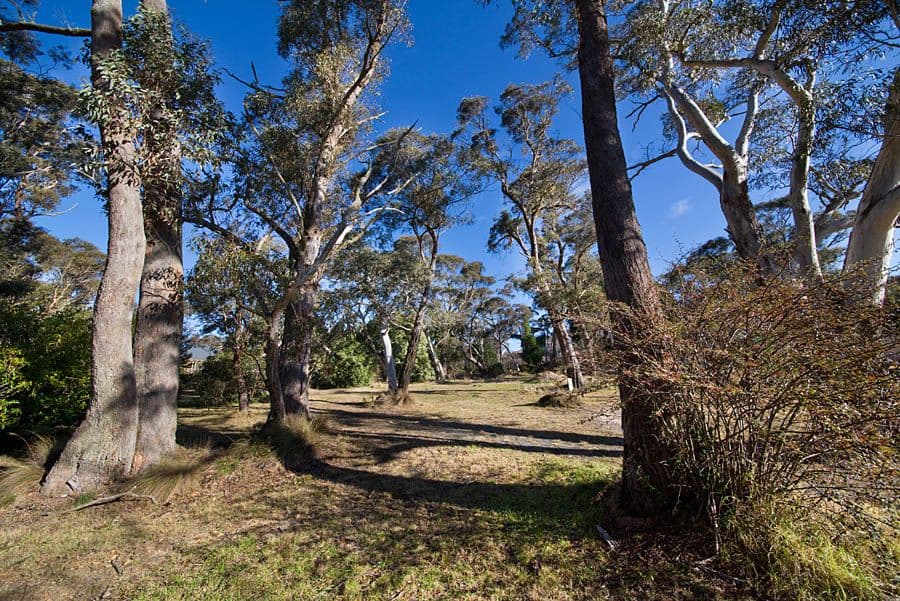Lot 3, 26 Brightlands Avenue, Blackheath NSW 2785, Mount Pleasant - Thumbnail 5