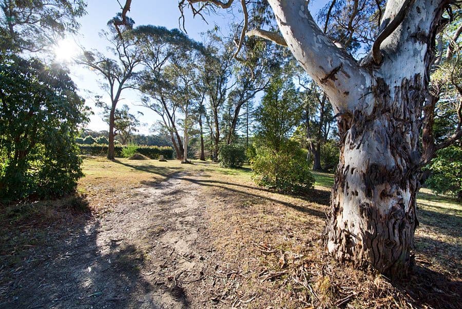 Lot 3, 26 Brightlands Avenue, Blackheath NSW 2785, Mount Pleasant - Thumbnail 6