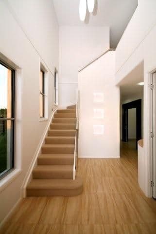66 Wood Drive, MIDDLE RIDGE QLD 4350, Middle Ridge - Thumbnail 6