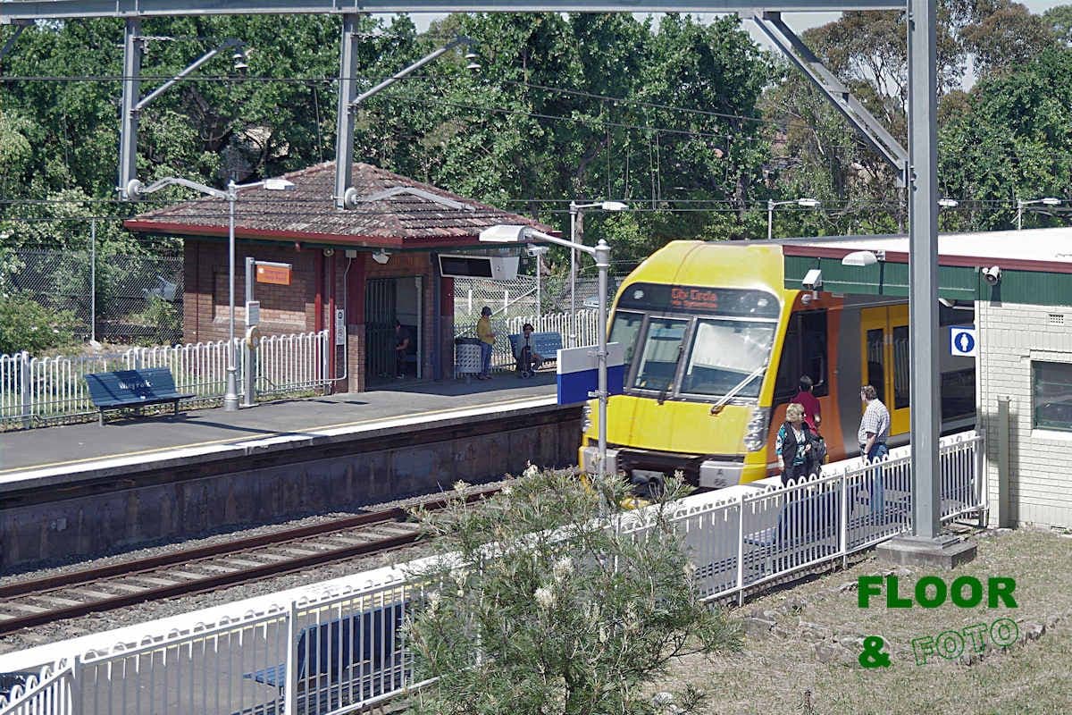 55 Alice Street South, Wiley Park NSW 2195, Wiley Park - Thumbnail 2