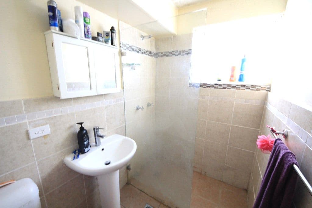 55 Alice Street South, Wiley Park NSW 2195, Wiley Park - Thumbnail 4