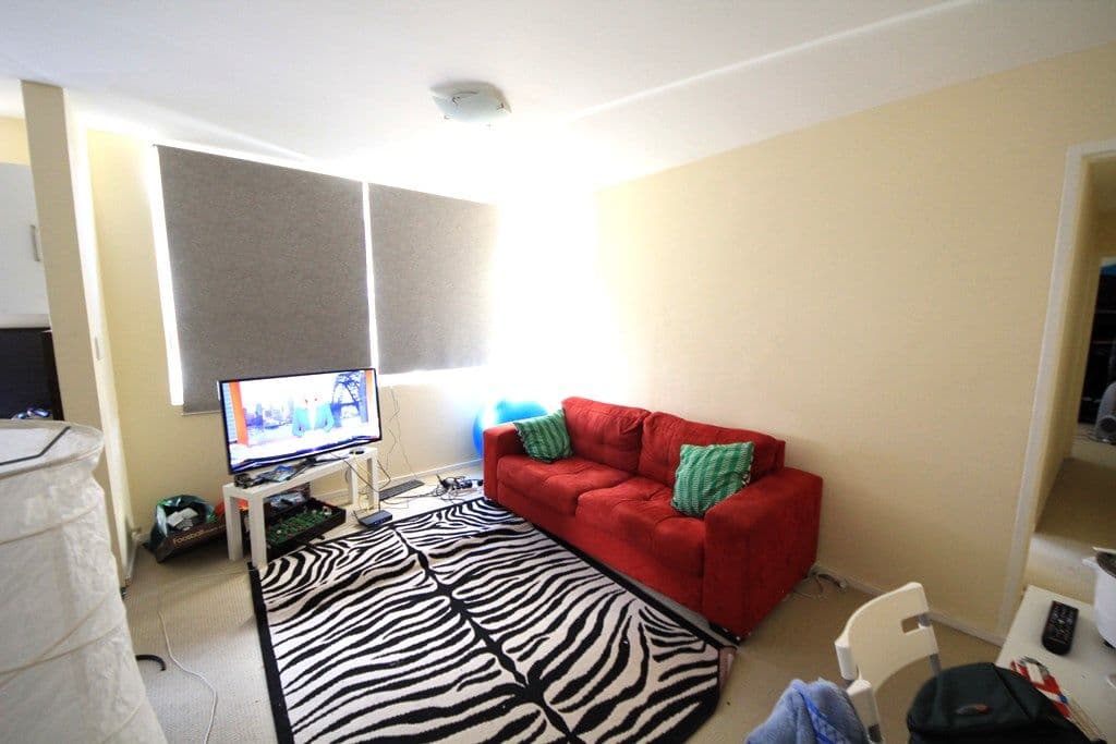 55 Alice Street South, Wiley Park NSW 2195, Wiley Park - Thumbnail 5