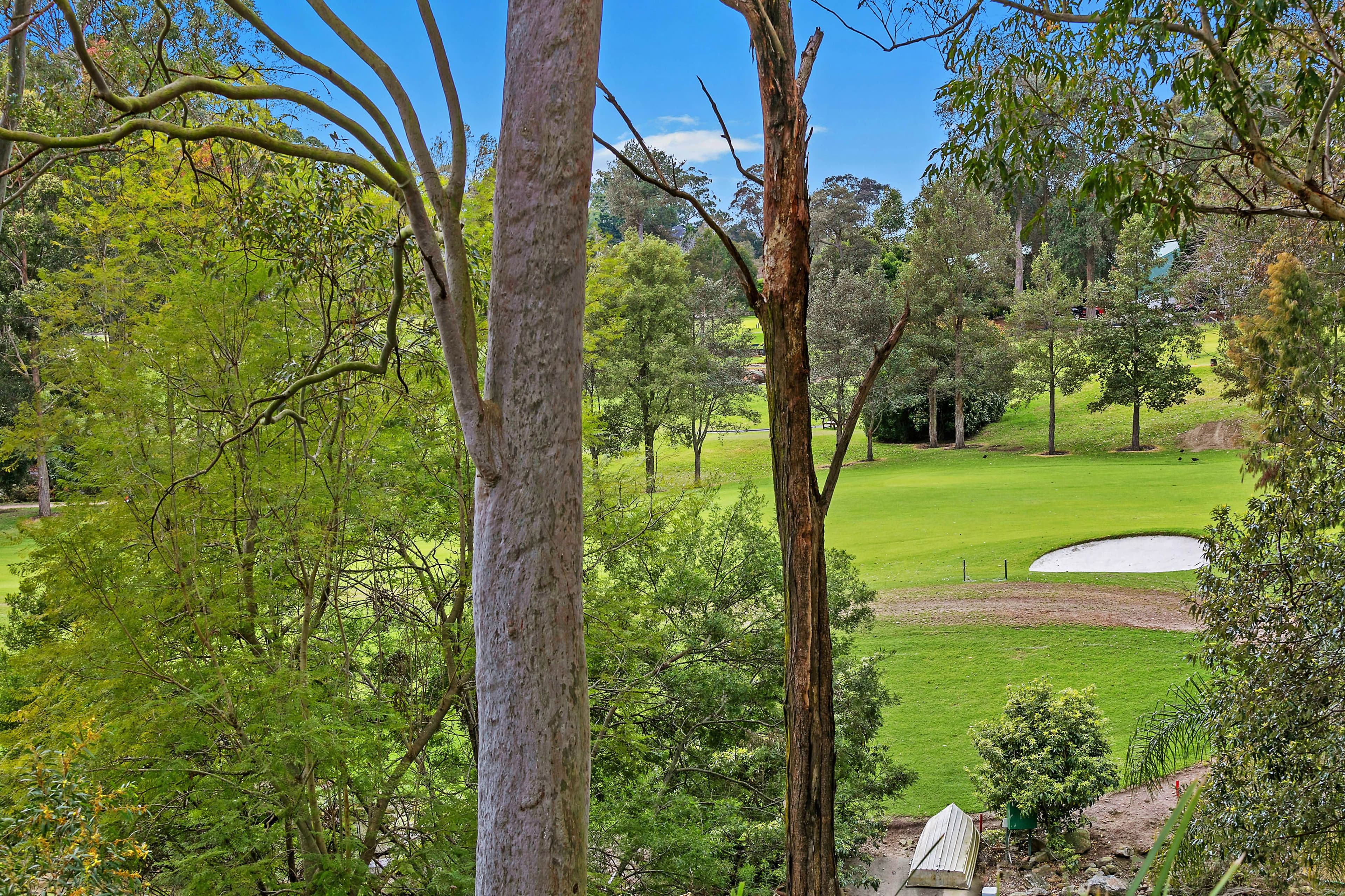 115 Merrivale Lane, Turramurra - Thumbnail 4