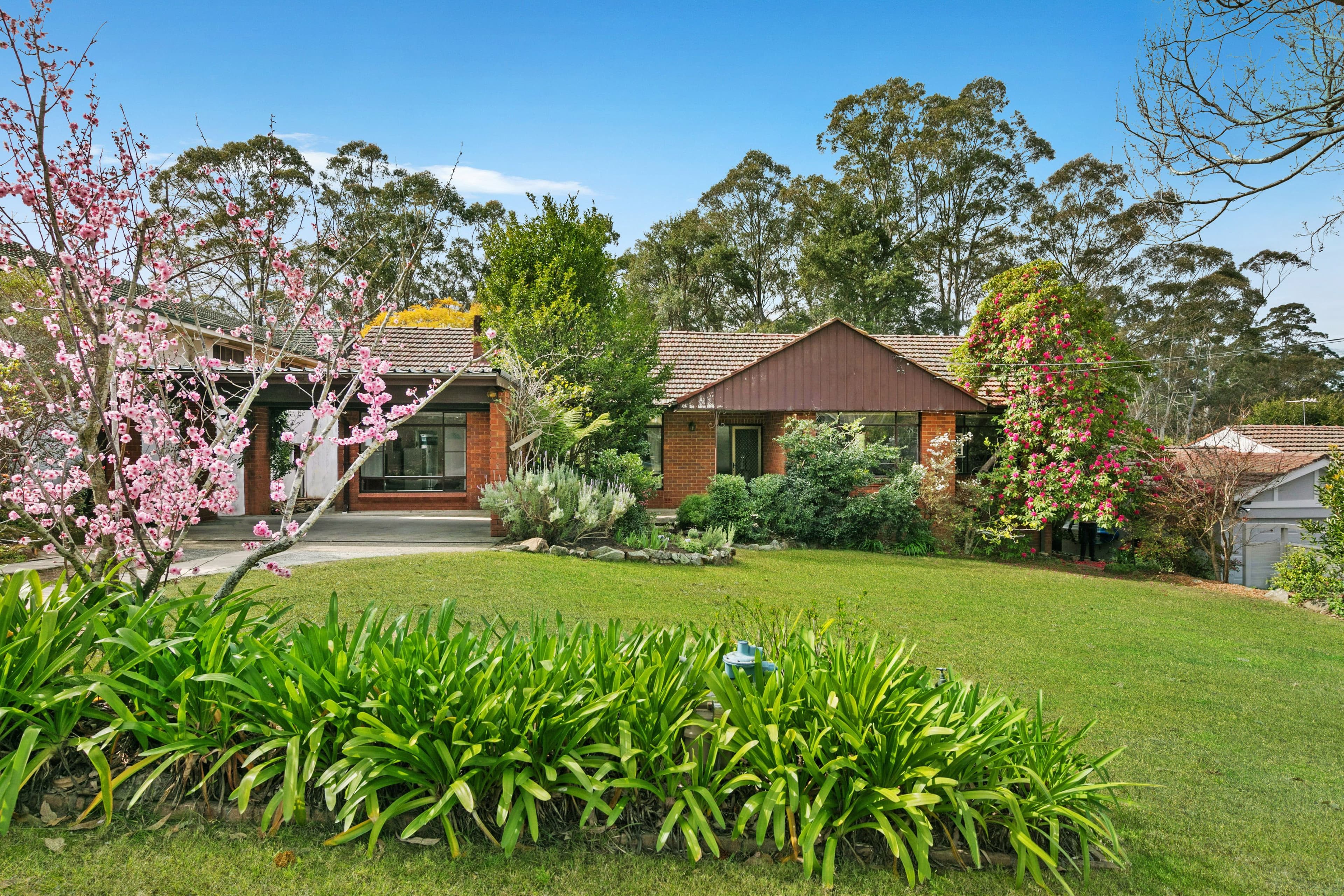 115 Merrivale Lane, Turramurra - Thumbnail 5