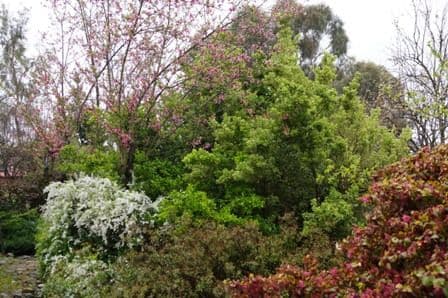 13 Ophir Road, ORANGE NSW 2800, Orange - Thumbnail 3