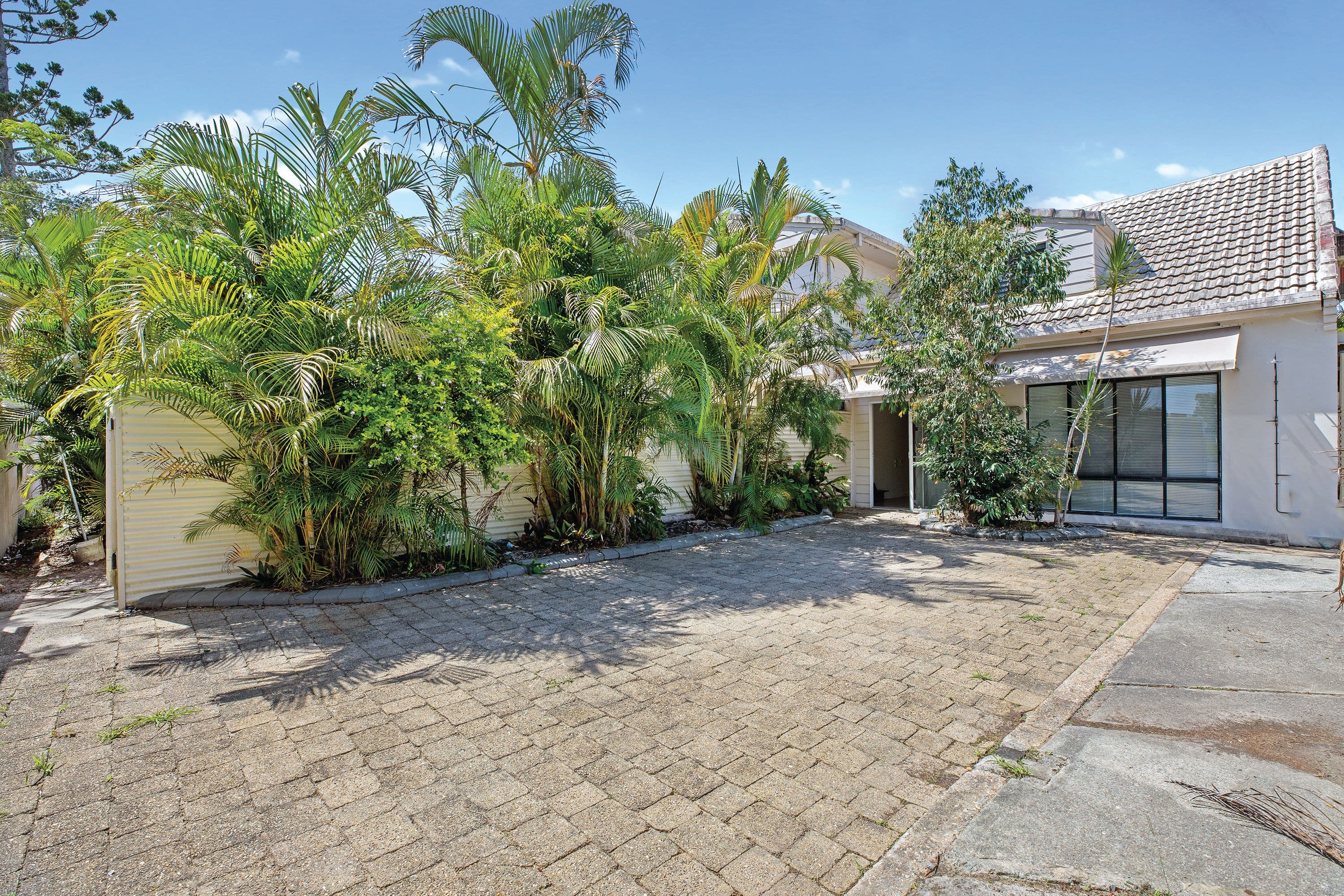 11 Poinciana Avenue, Tewantin QLD 4565, Tewantin - Thumbnail 6