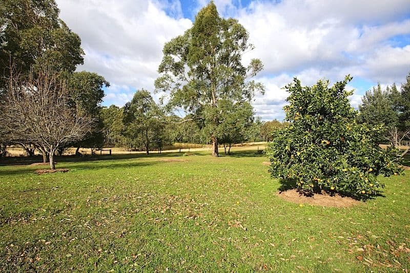 889 Illaroo Road, Tapitallee - Thumbnail 7