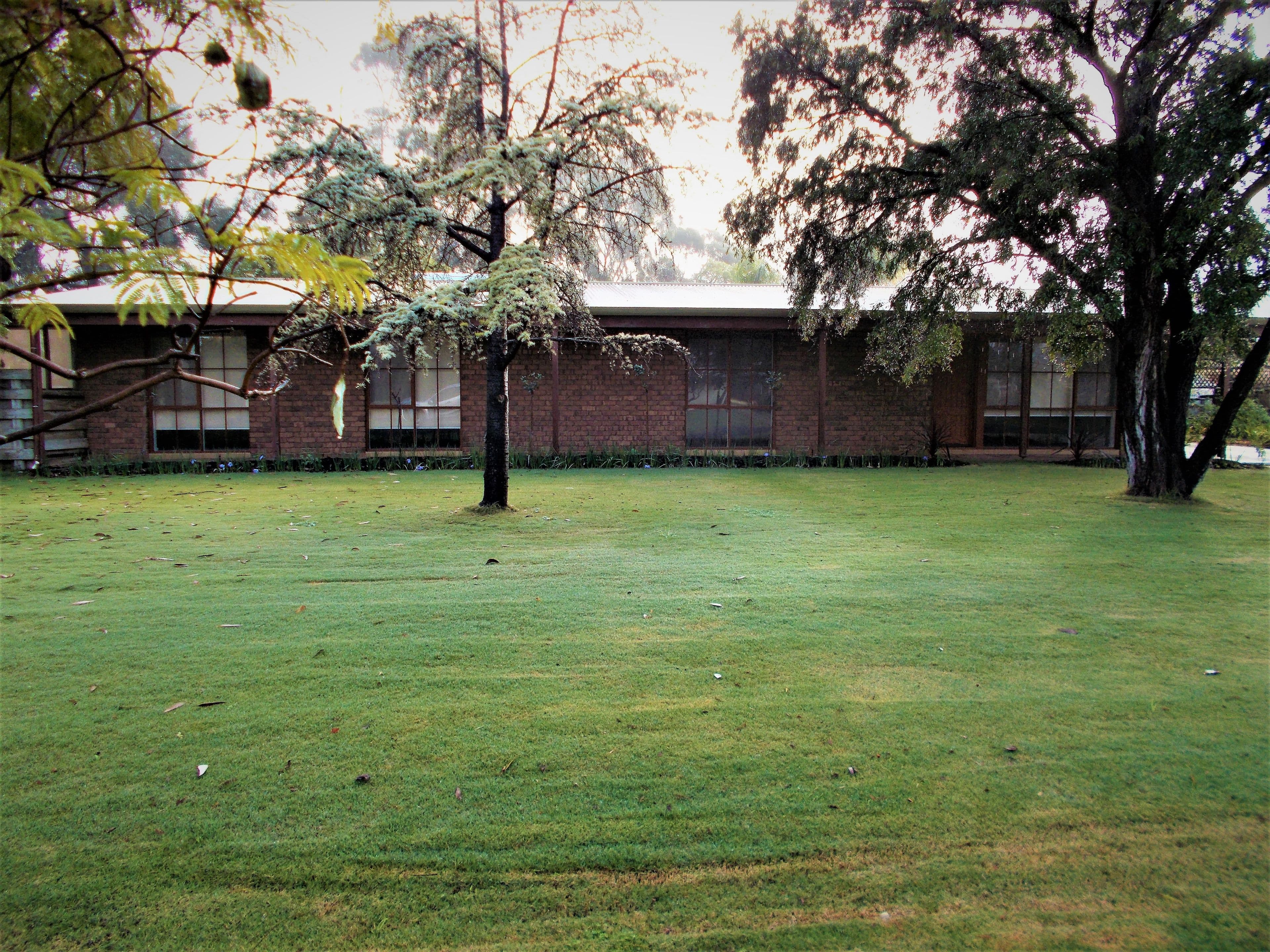 17 Buik Street, Bordertown SA 5268, Bordertown - Image 1