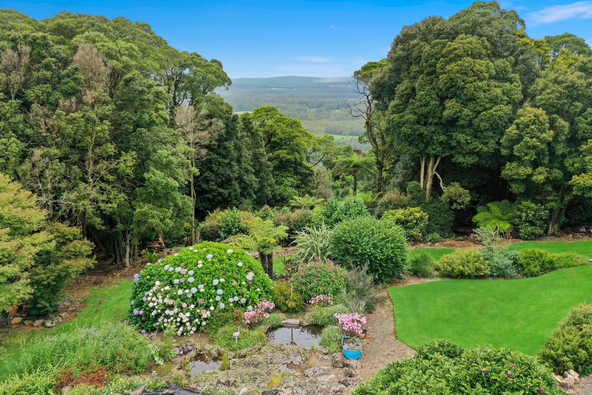 2221 Jamberoo Mountain Road, Robertson NSW 2577, Robertson - Thumbnail 8