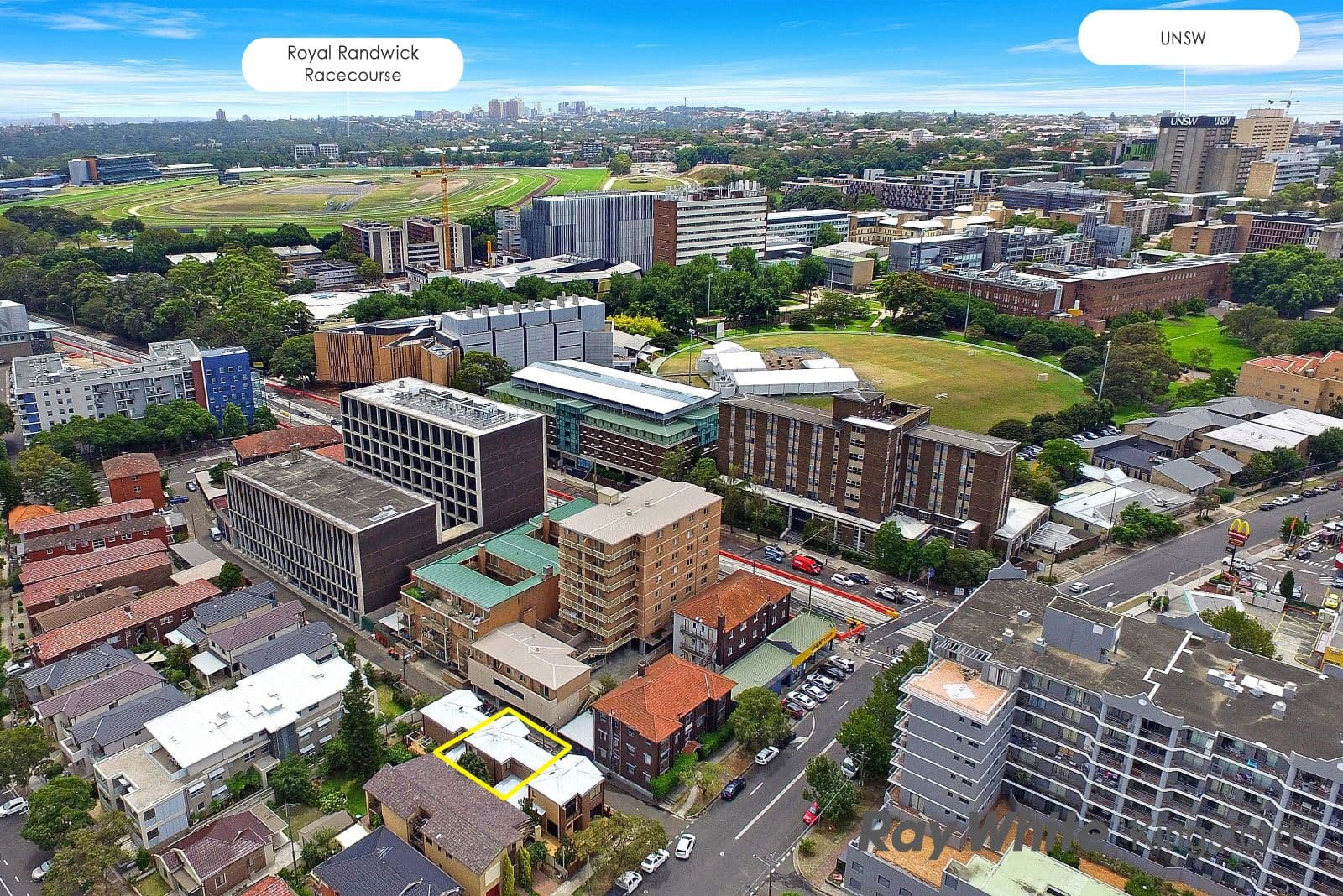 11 Barker Street, Kensington NSW 2033, Kensington - Thumbnail 2