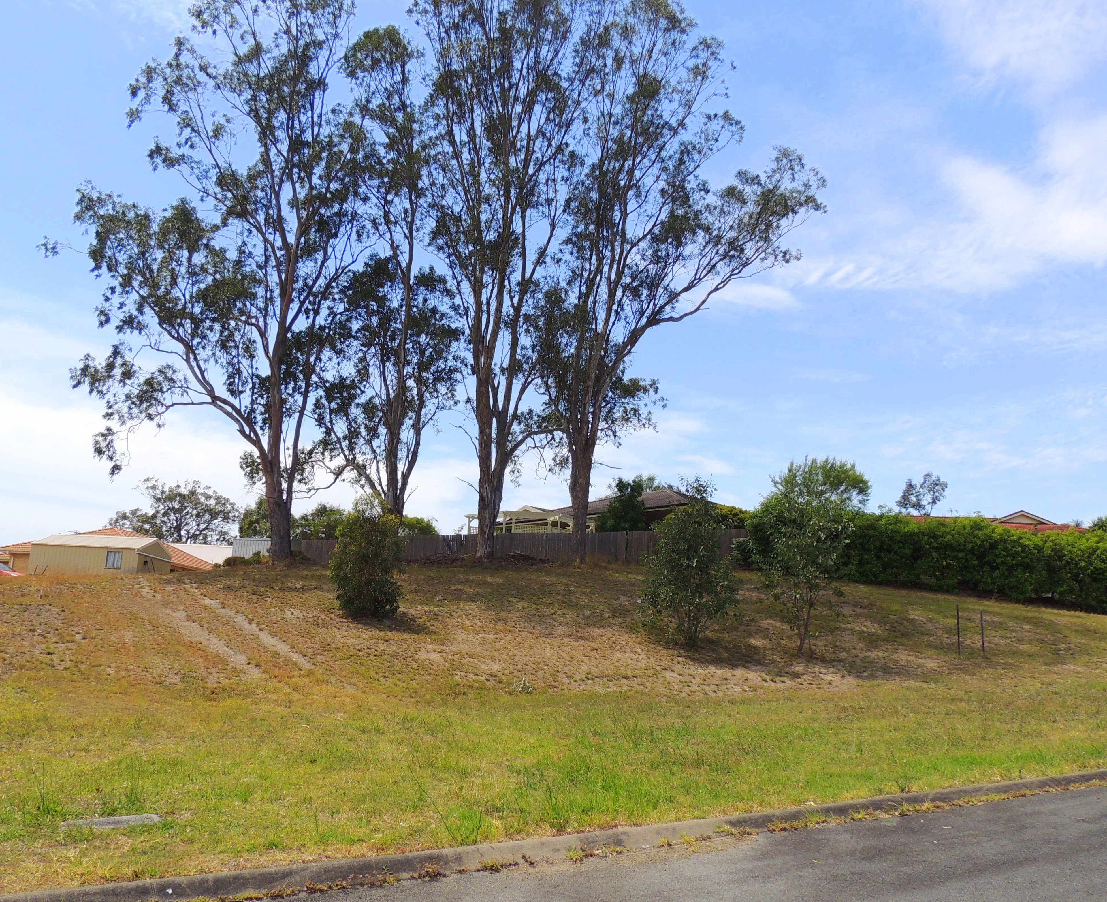 6 Higgins Close, Gloucester NSW 2422, Gloucester - Thumbnail 3
