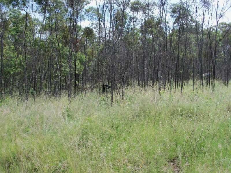 43 Faulkner Road, BOOIE QLD 4610, Booie - Thumbnail 2