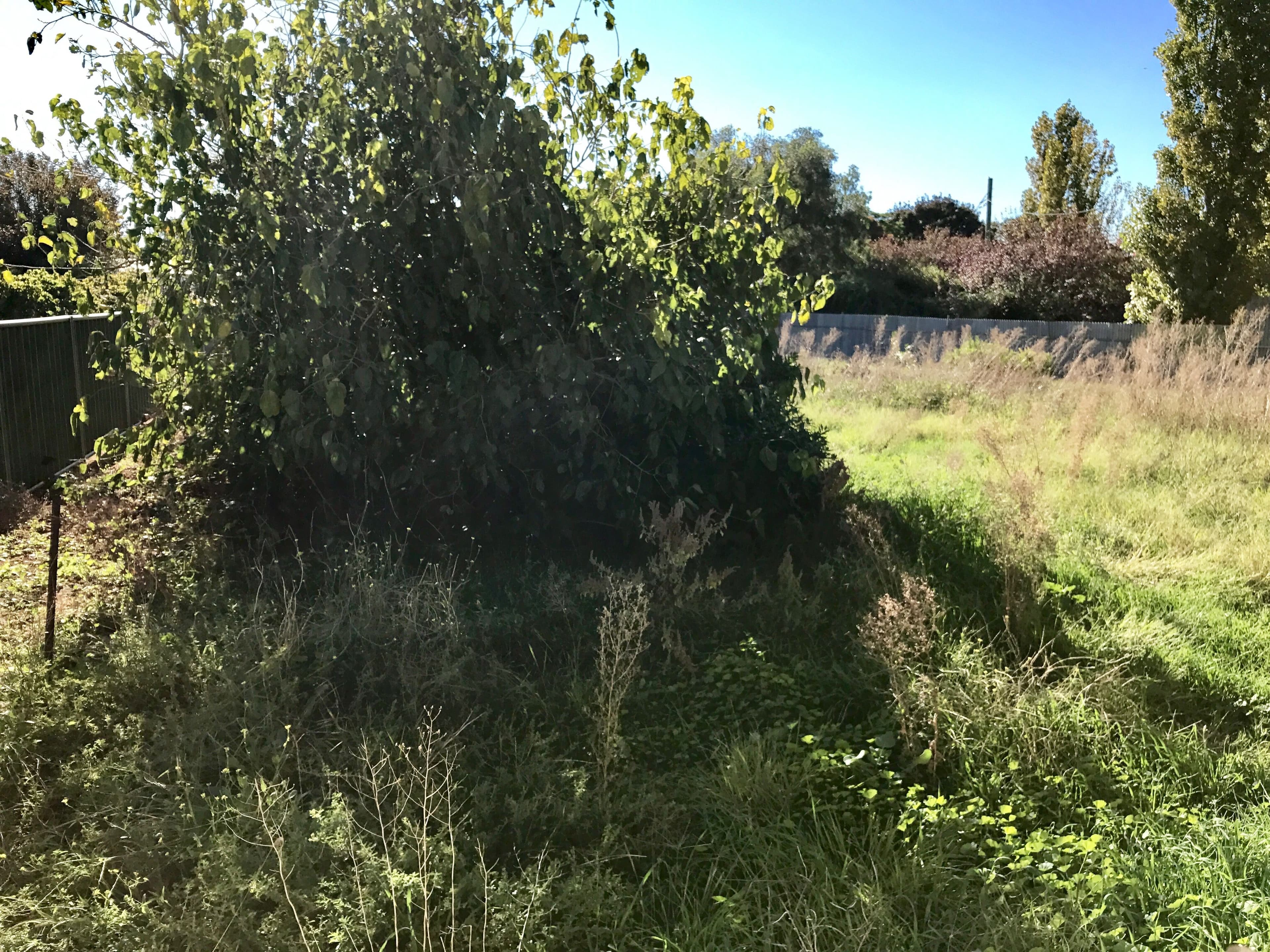 Lot 2 Hartigan Avenue, Parkes NSW 2870, Parkes - Thumbnail 6