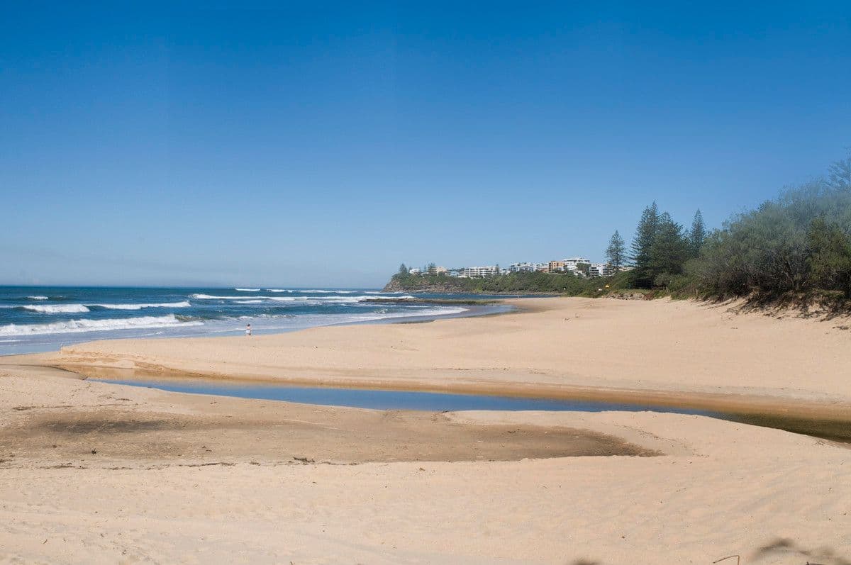 17 Ann Street, DICKY BEACH QLD 4551, Dicky Beach - Thumbnail 6