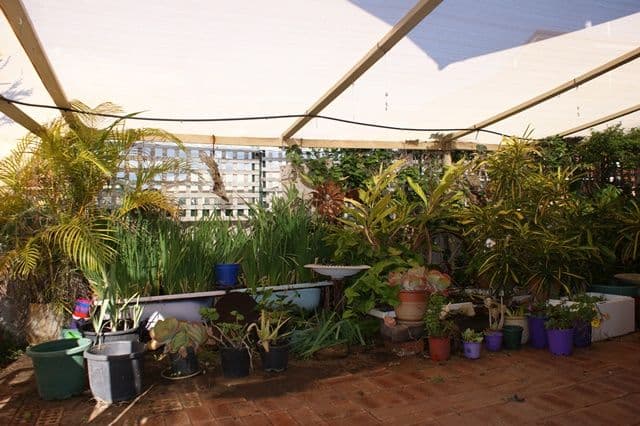 42 North Shore Drive, DONGARA WA 6525, Dongara - Thumbnail 8