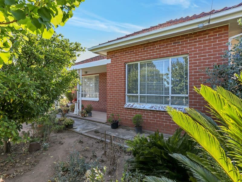 31 Acacia Avenue, Campbelltown SA 5074, Campbelltown - Thumbnail 2