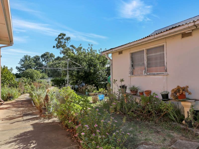 31 Acacia Avenue, Campbelltown SA 5074, Campbelltown - Thumbnail 5