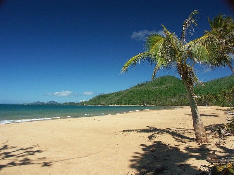11 Butler Road, Bingil Bay QLD 4852, Bingil Bay - Thumbnail 3