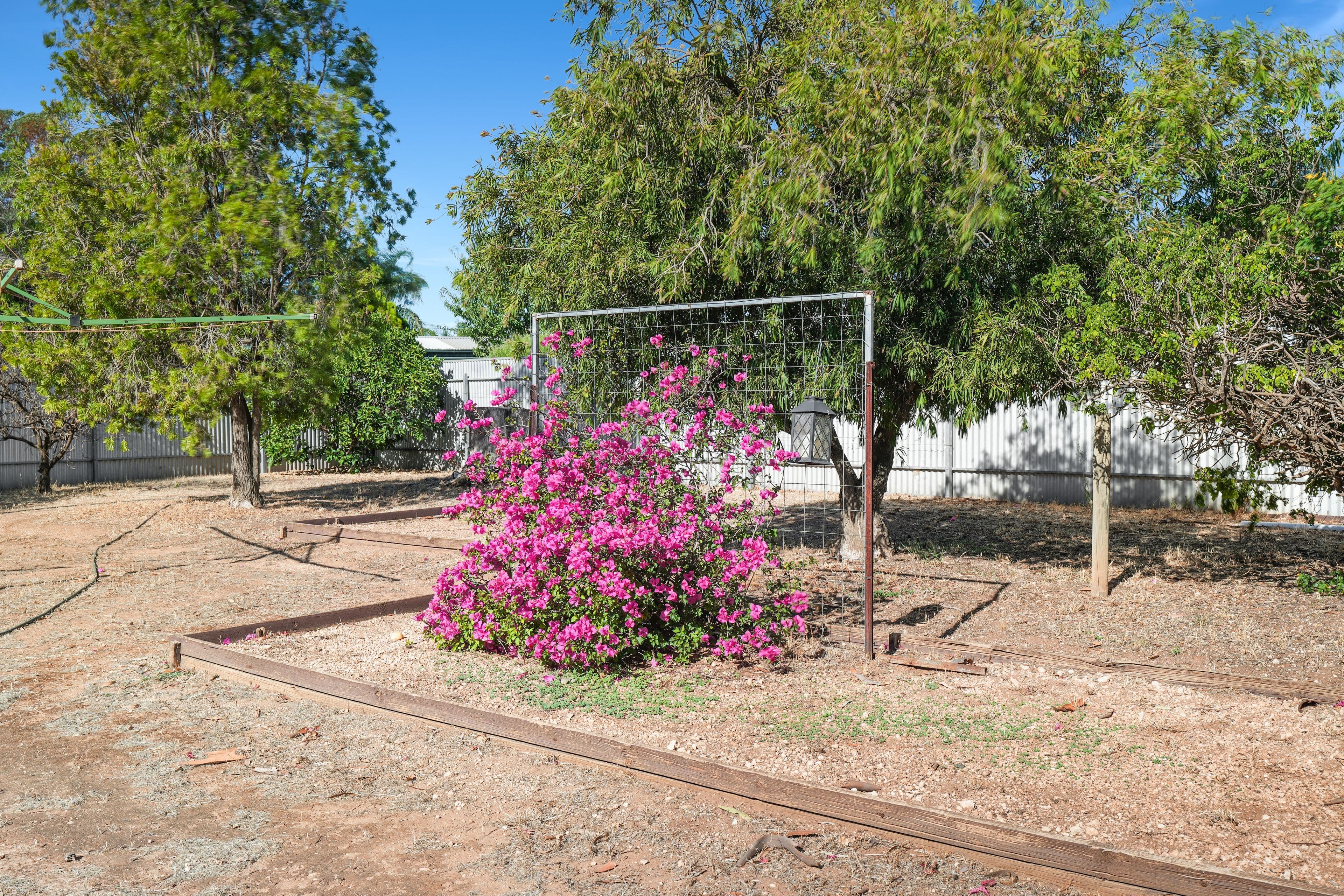 22 Brooks Avenue, Willaston SA 5118, Willaston - Thumbnail 3