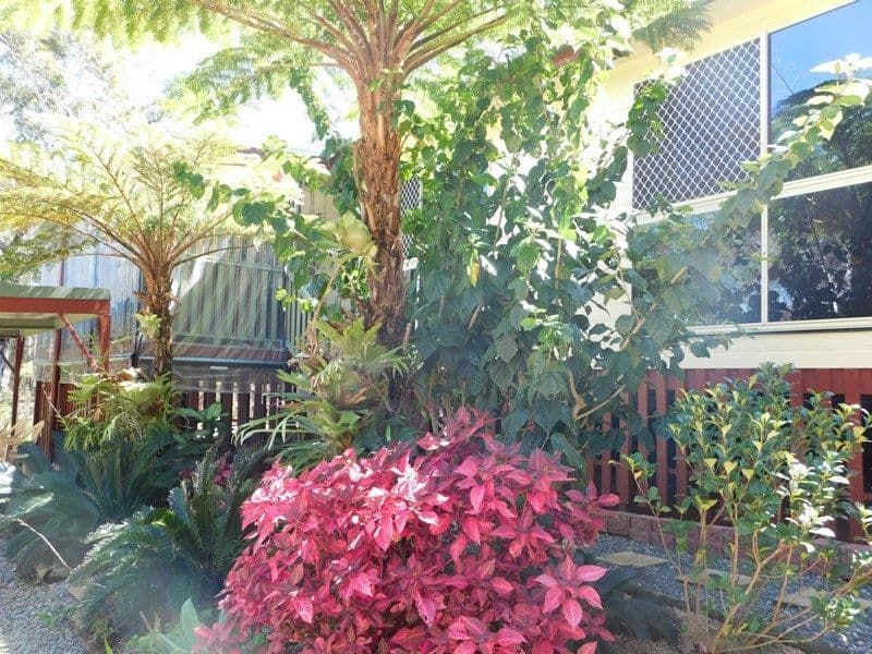 15 Bradman Street, Russell Island QLD 4184, Russell Island - Thumbnail 5