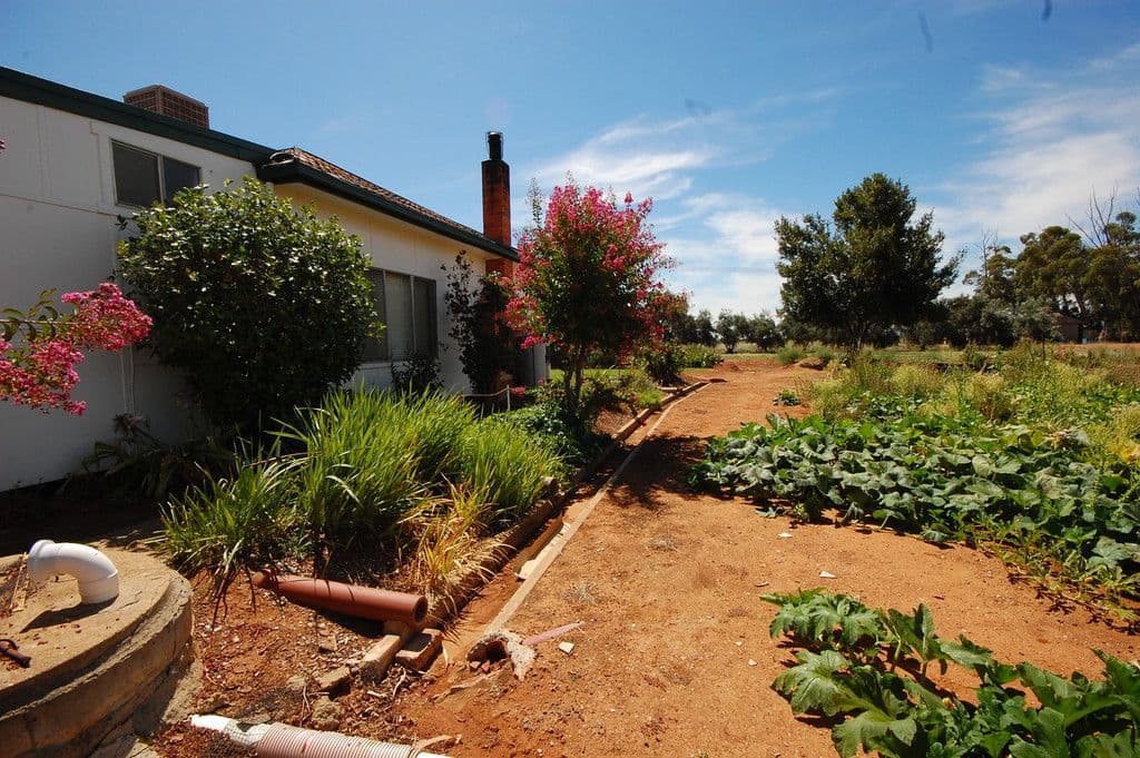 40 Golf Course Road, Yenda - Thumbnail 7