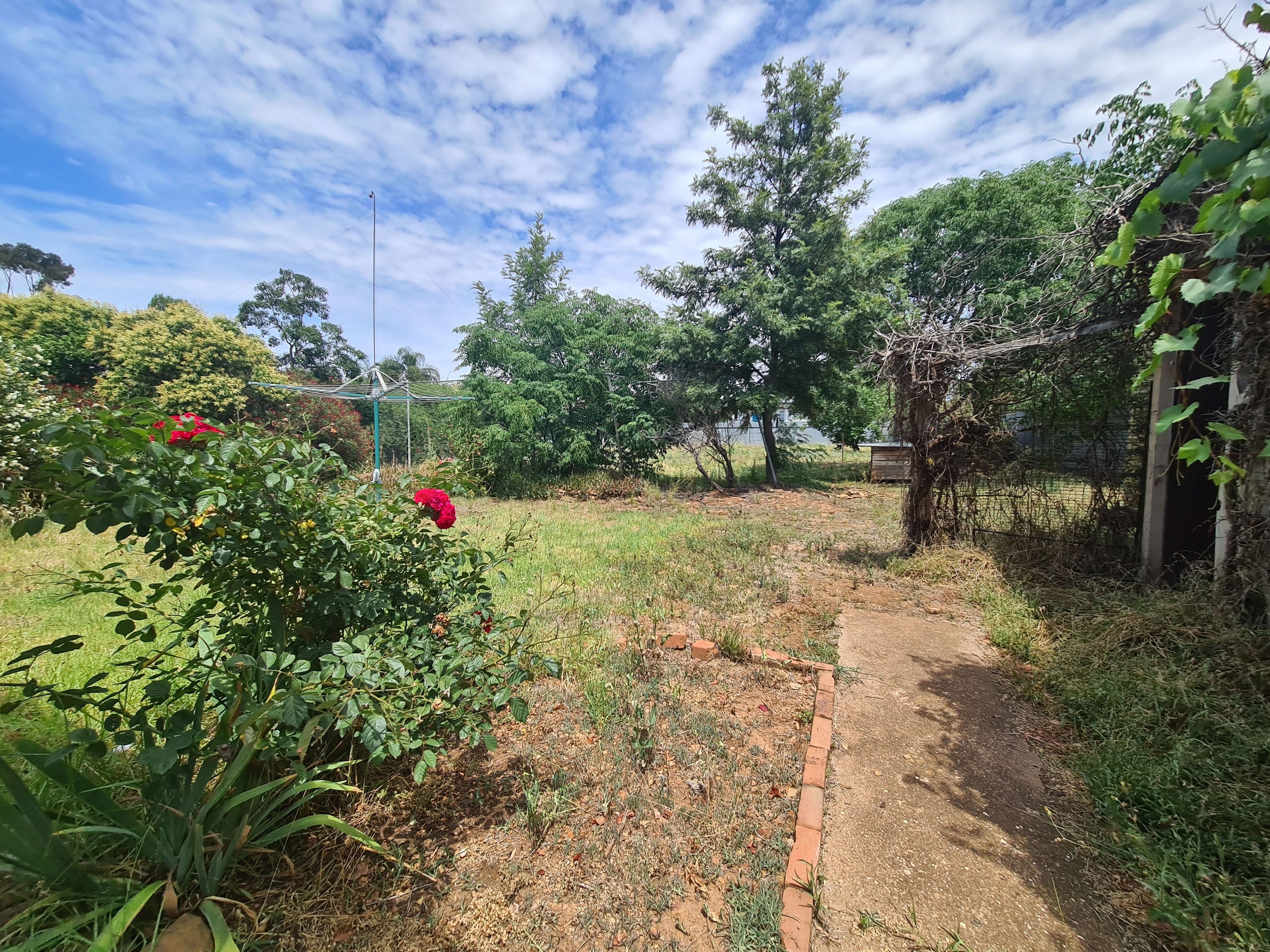 30 Coleman Road, Parkes NSW 2870, Parkes - Thumbnail 7