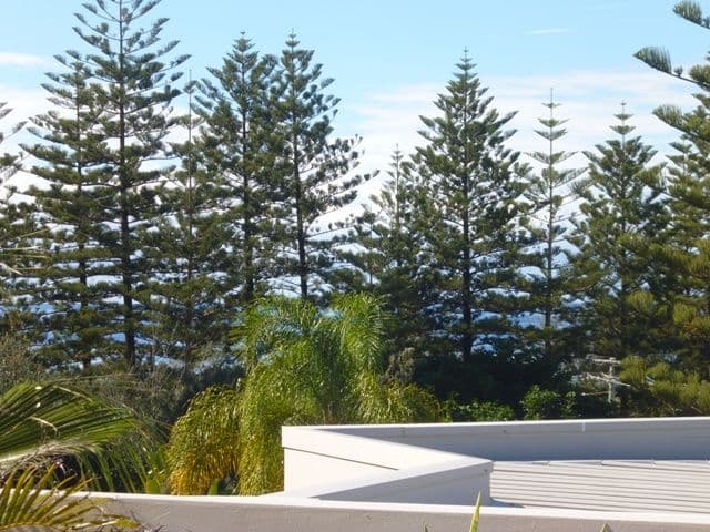 5 Fourth Avenue, BURLEIGH HEADS QLD 4220, Burleigh Heads - Thumbnail 4