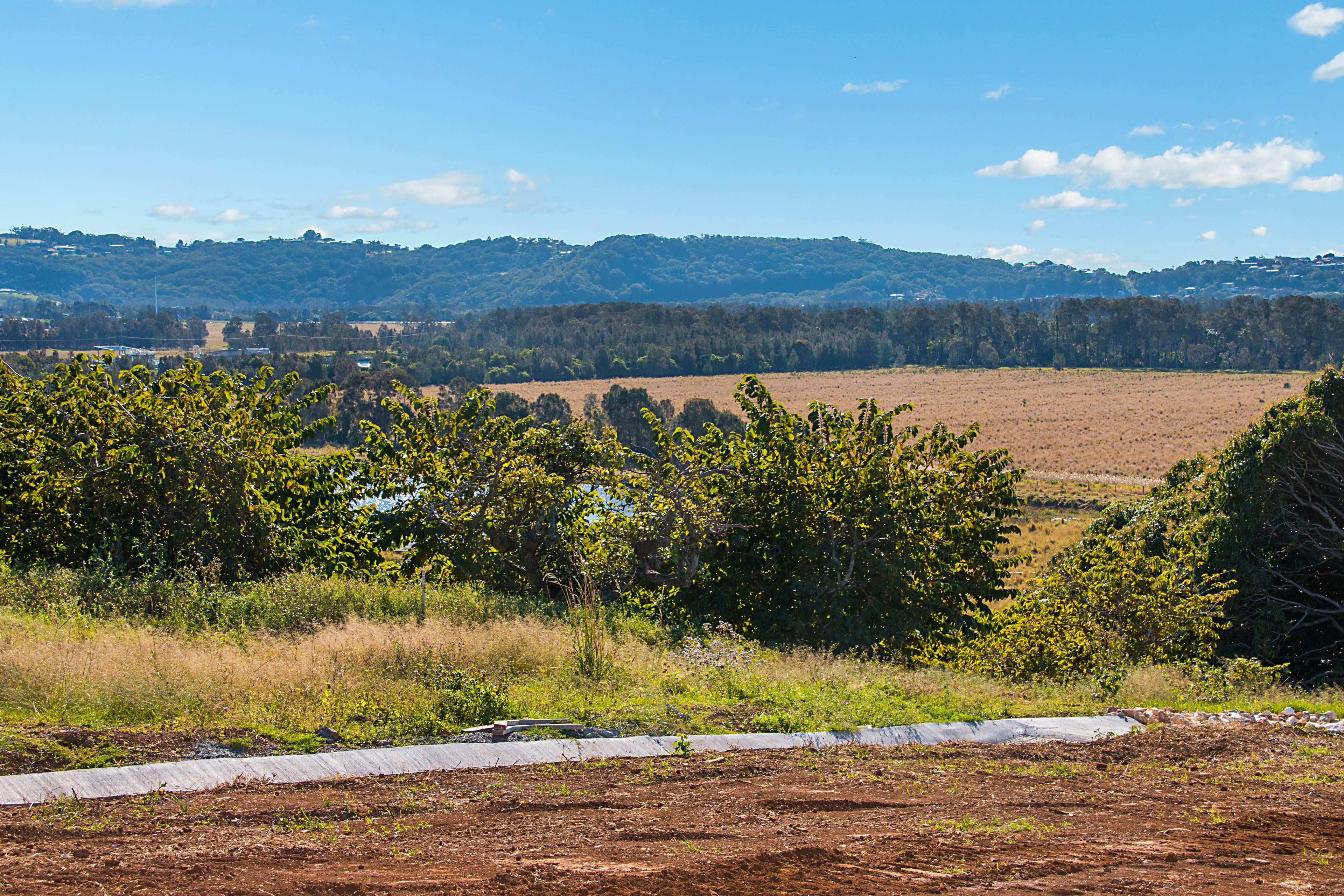 15 Collier Street, Cudgen NSW 2487, Cudgen - Thumbnail 5