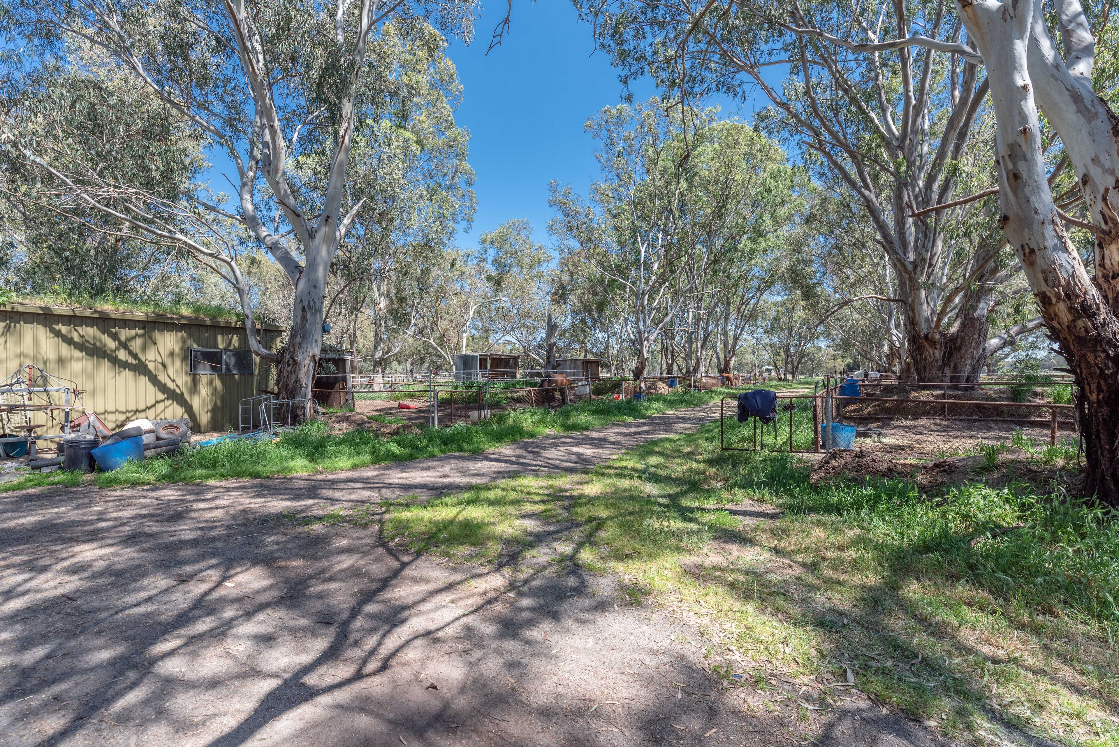 167 Albert Road, Middle Swan WA 6056, Middle Swan - Thumbnail 6