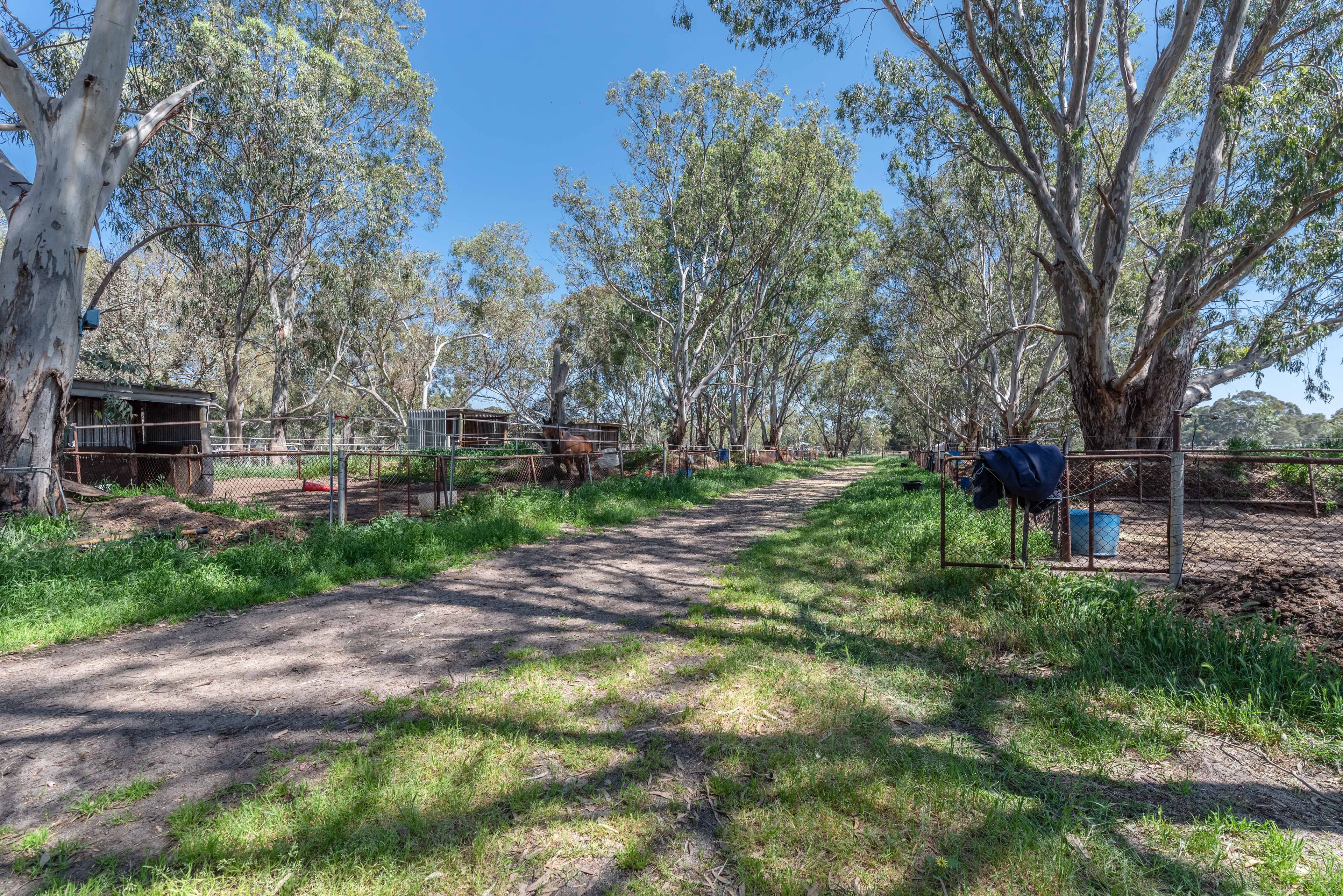 167 Albert Road, Middle Swan WA 6056, Middle Swan - Thumbnail 7