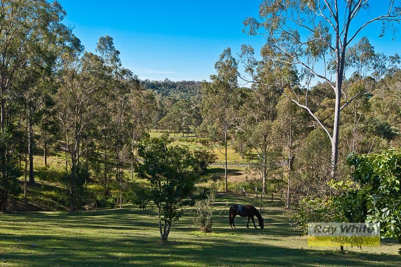 57 Burton Lane, SAMFORD VALLEY QLD 4520, Samford Valley - Thumbnail 2