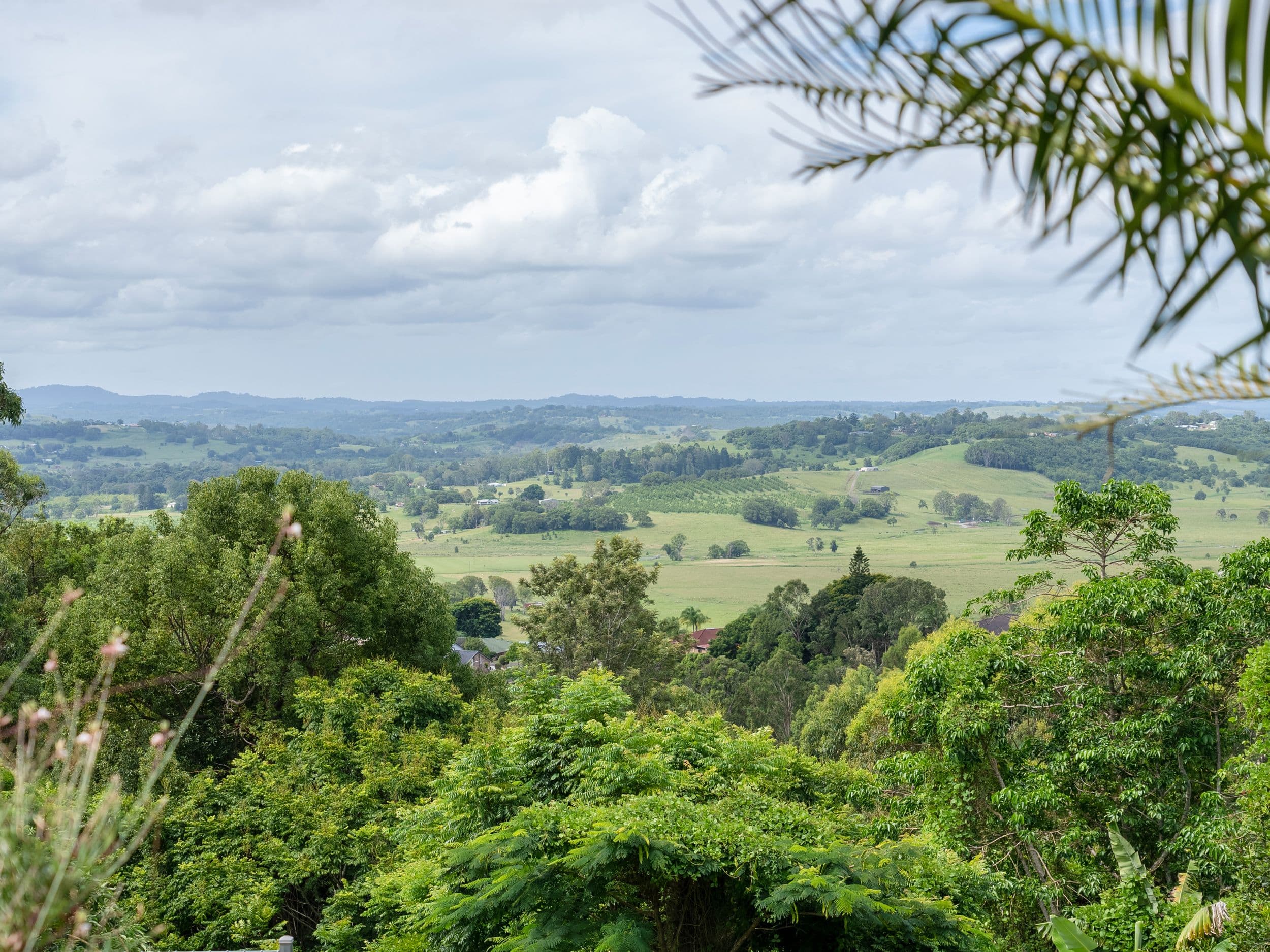 26 Bruxner Crescent, Goonellabah NSW 2480, Goonellabah - Thumbnail 2