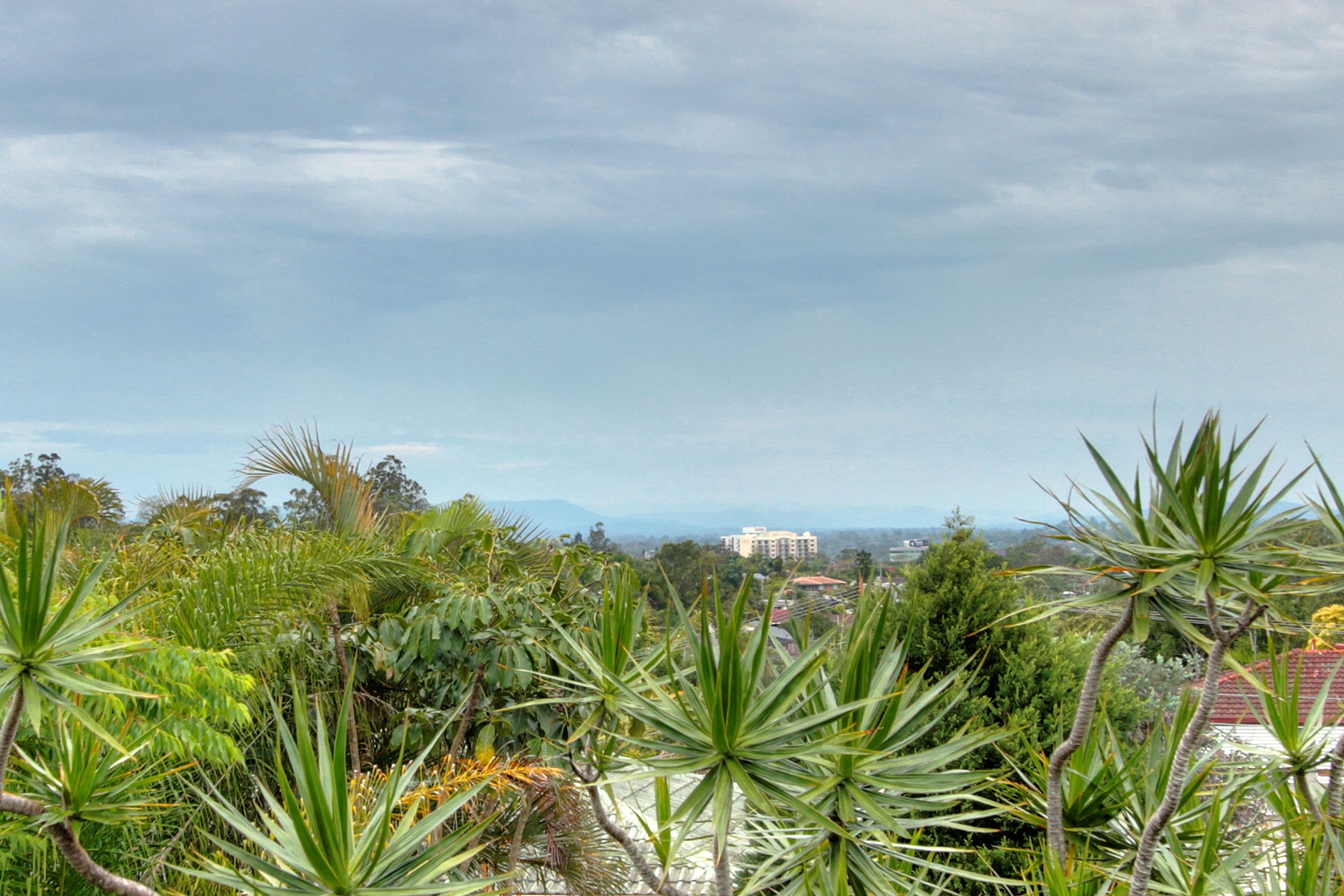 17 Knight Street, Rochedale South QLD 4123, Rochedale South - Thumbnail 4