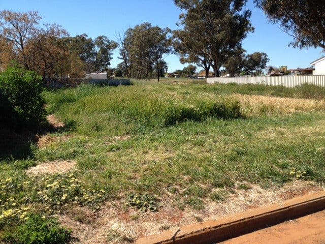 37 Trungley Hall Road, Temora NSW 2666, Temora - Image 1