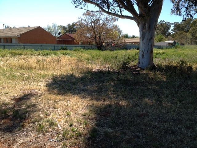 37 Trungley Hall Road, Temora NSW 2666, Temora - Thumbnail 2