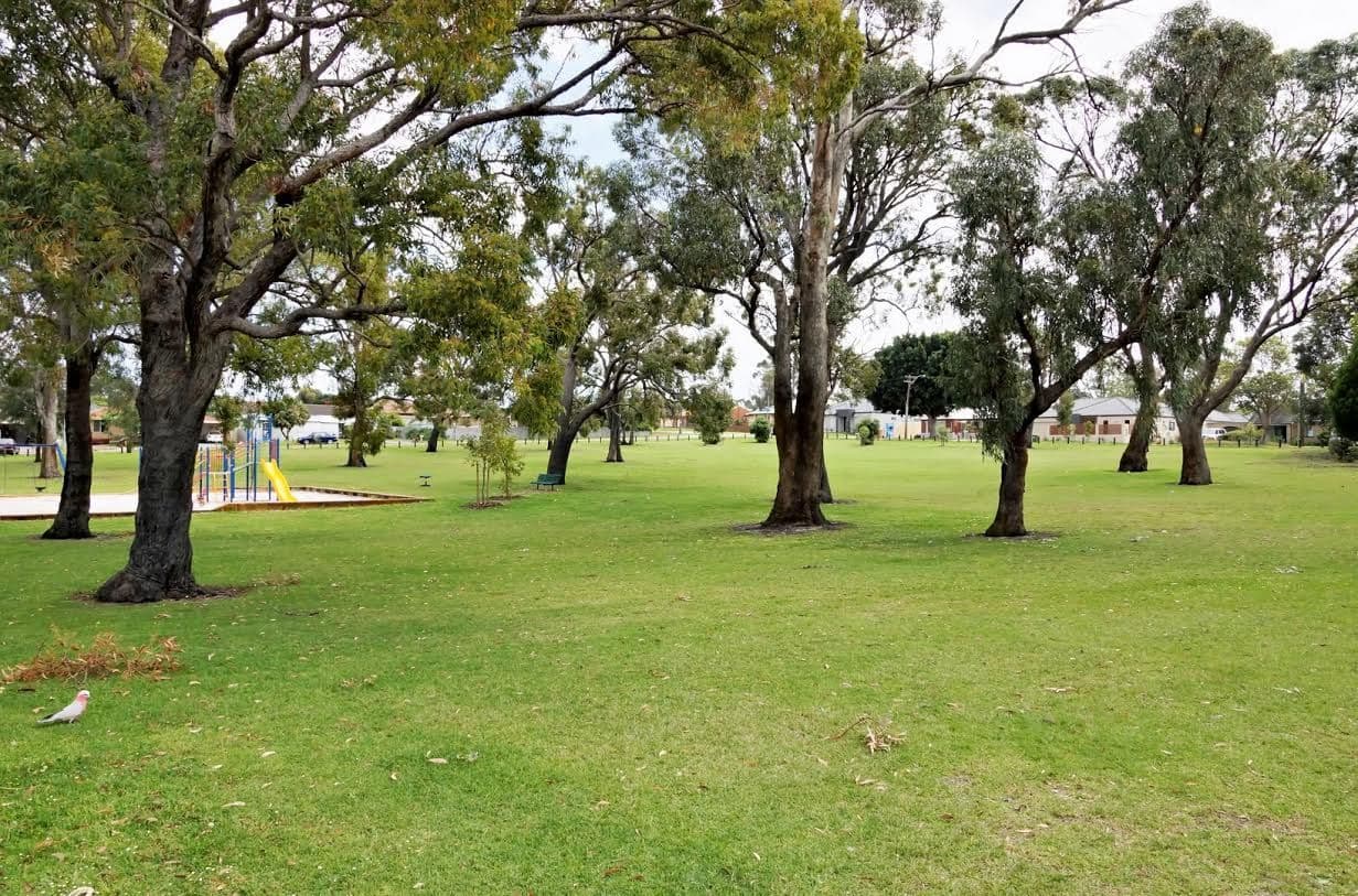 11 Framfield Way, BALGA WA 6061, Balga - Thumbnail 7