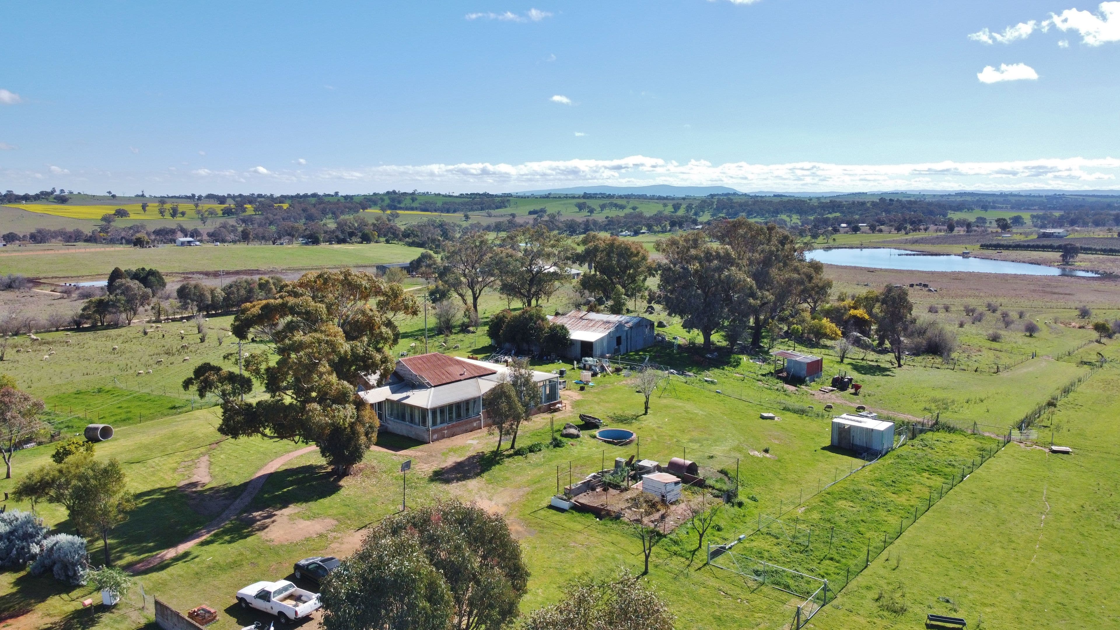 96 Campbells Road, Maimuru via, Young NSW 2594, Maimuru - Thumbnail 3