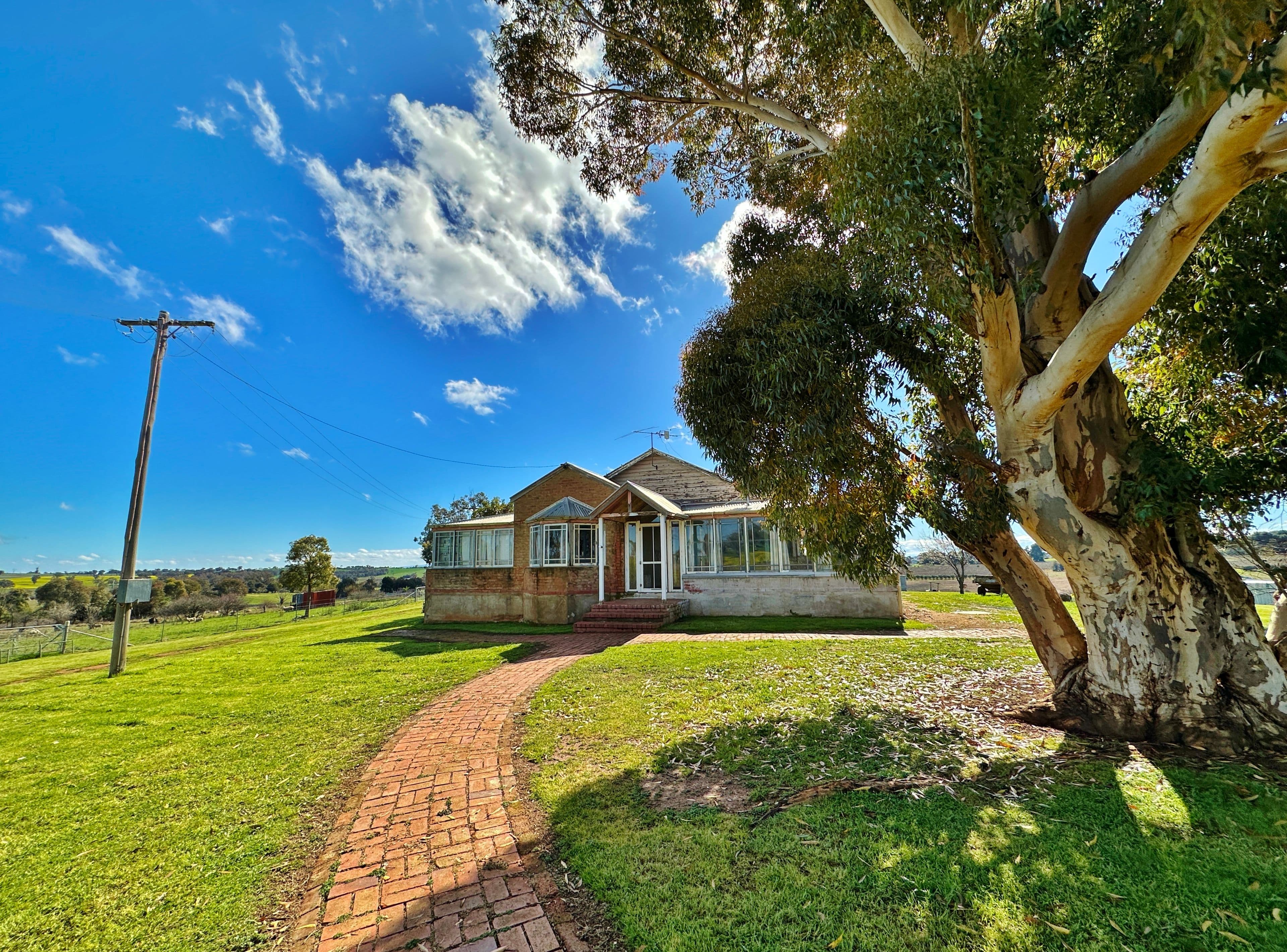 96 Campbells Road, Maimuru via, Young NSW 2594, Maimuru - Thumbnail 4